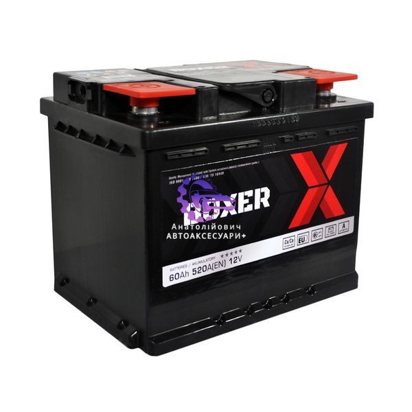 Автомобільний акумулятор BOXER 555 81 L2 60Ah 520A L+ (Арт. 555 81bx) 555 81bx фото