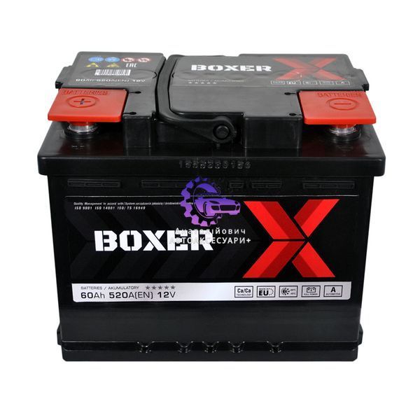 Автомобільний акумулятор BOXER 555 81 L2 60Ah 520A L+ (Арт. 555 81bx) 555 81bx фото