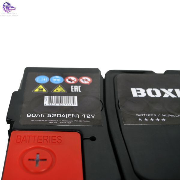 555 81bx фото