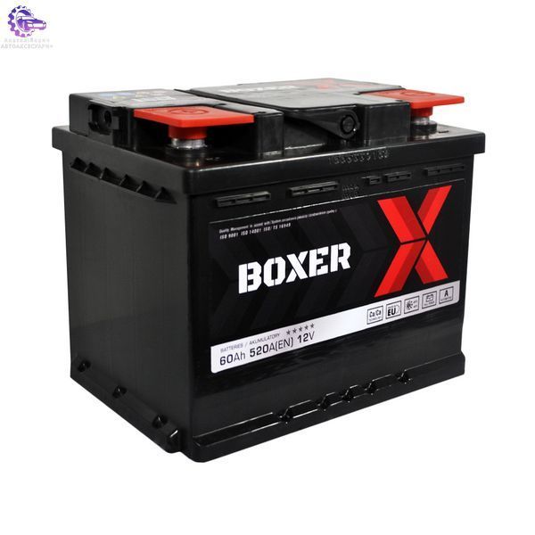 555 81bx фото