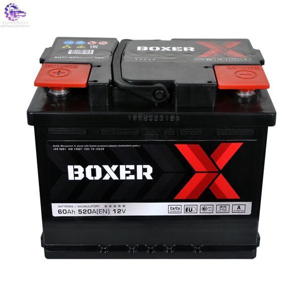 555 81bx фото