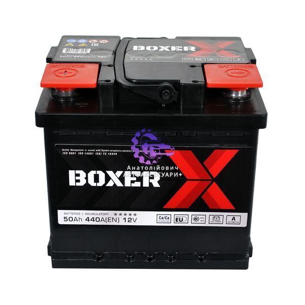 545 81bx фото