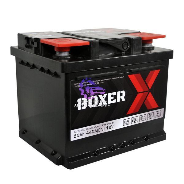 545 81bx фото