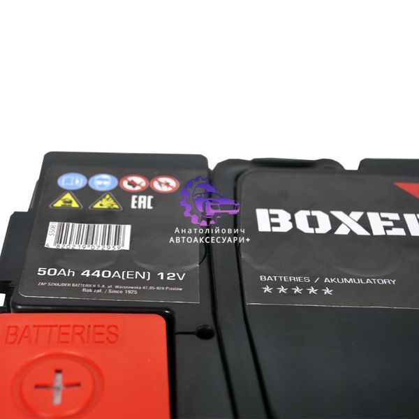 545 81bx фото