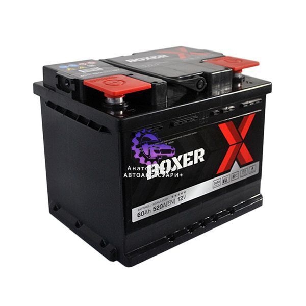 Автомобільний акумулятор BOXER (L2) 60Ah 520A R+ Євроформат, Полярність Права (Арт. 555 80bx) - Польща 555 80bx фото