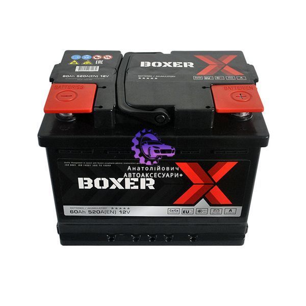 Автомобільний акумулятор BOXER (L2) 60Ah 520A R+ Євроформат, Полярність Права (Арт. 555 80bx) - Польща 555 80bx фото