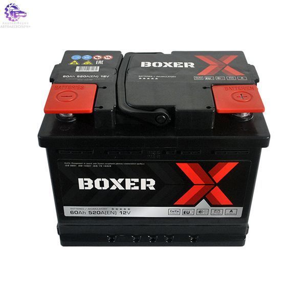 555 80bx фото